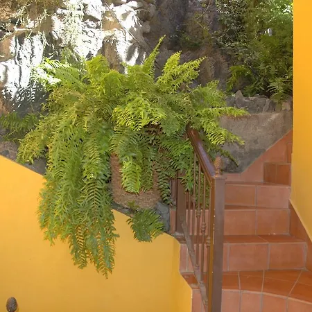 Jardín Concha * Valle Gran Rey