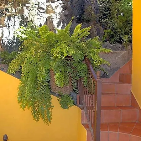 Hotel Jardín Concha Valle Gran Rey