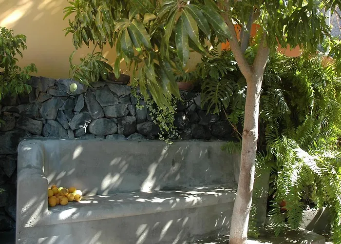 Hotel Jardín Concha *