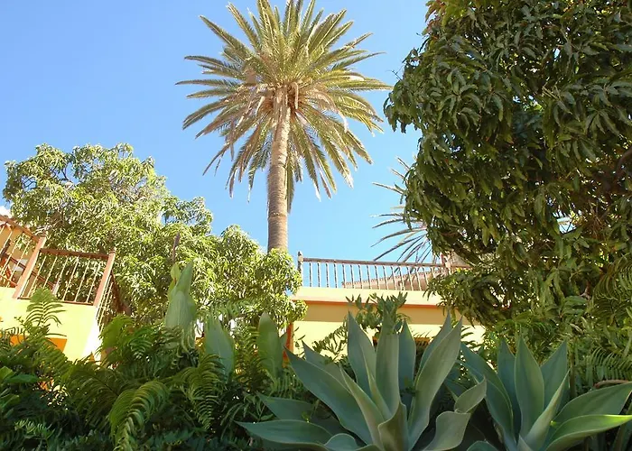 Hotel Jardin Concha Valle Gran Rey