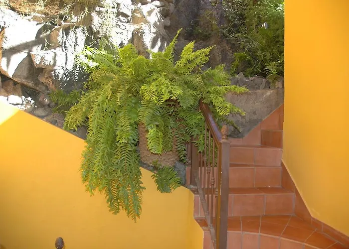 Jardin Concha * Valle Gran Rey